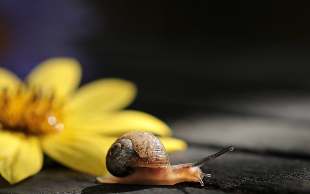 Overcoming Procrastination