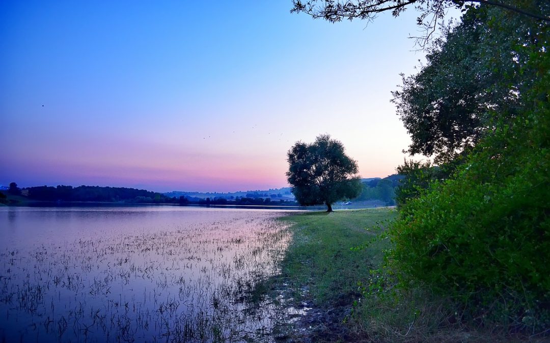 Quote of the Day: Henry David Thoreau