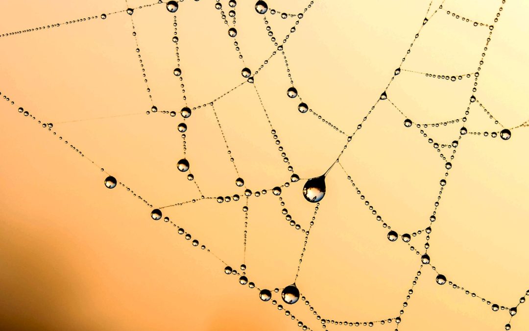 Networking Dos and Don’ts
