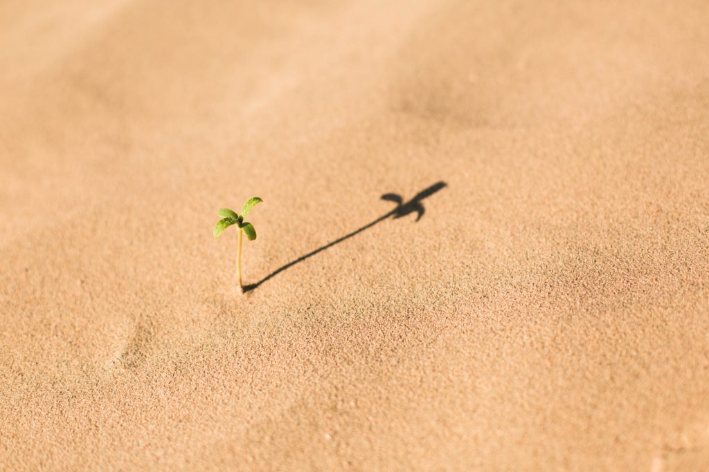 evan-kirby-263913-unsplash