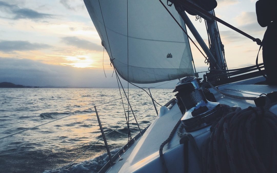 Quote of the Day: Twenty years from now you will be more disappointed by the things that you didn’t do than by the ones you did do. So throw off the bowlines. Sail away from the safe harbor. Catch the trade winds in your sails. Explore. Dream. Discover.