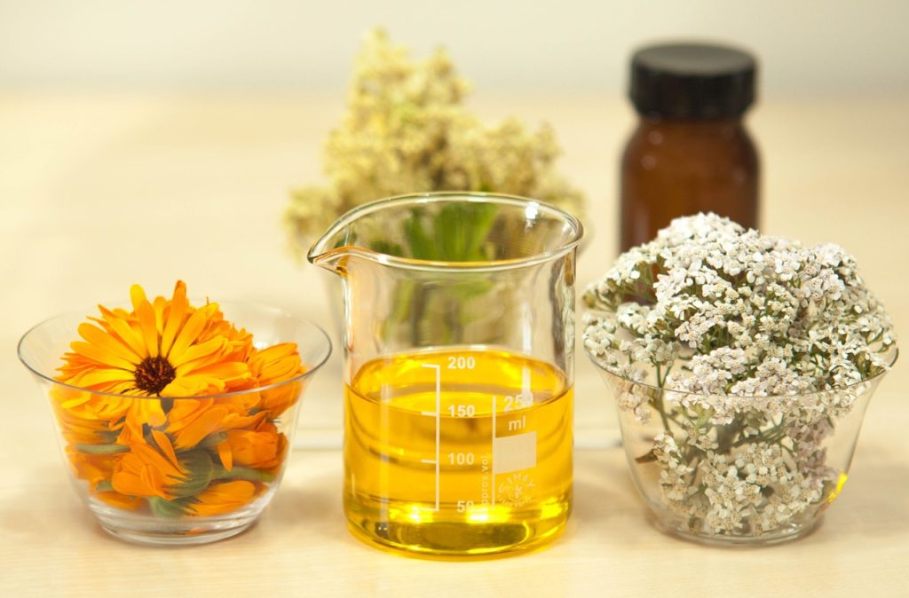 filipendula-ulmaria-1526400_1280