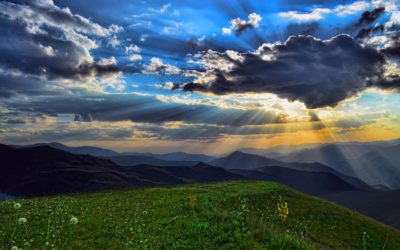 Wednesday Wellness! Positivity Series: Part 3