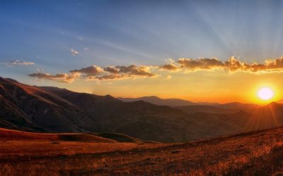 Feel Good Friday: Thanksgiving Edition