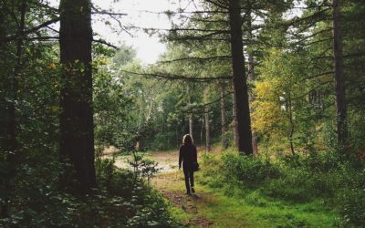 Feel Good Friday! Positivity Series: Part 15