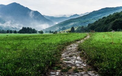 Taking Small Steps Towards A Stronger Workplace Community