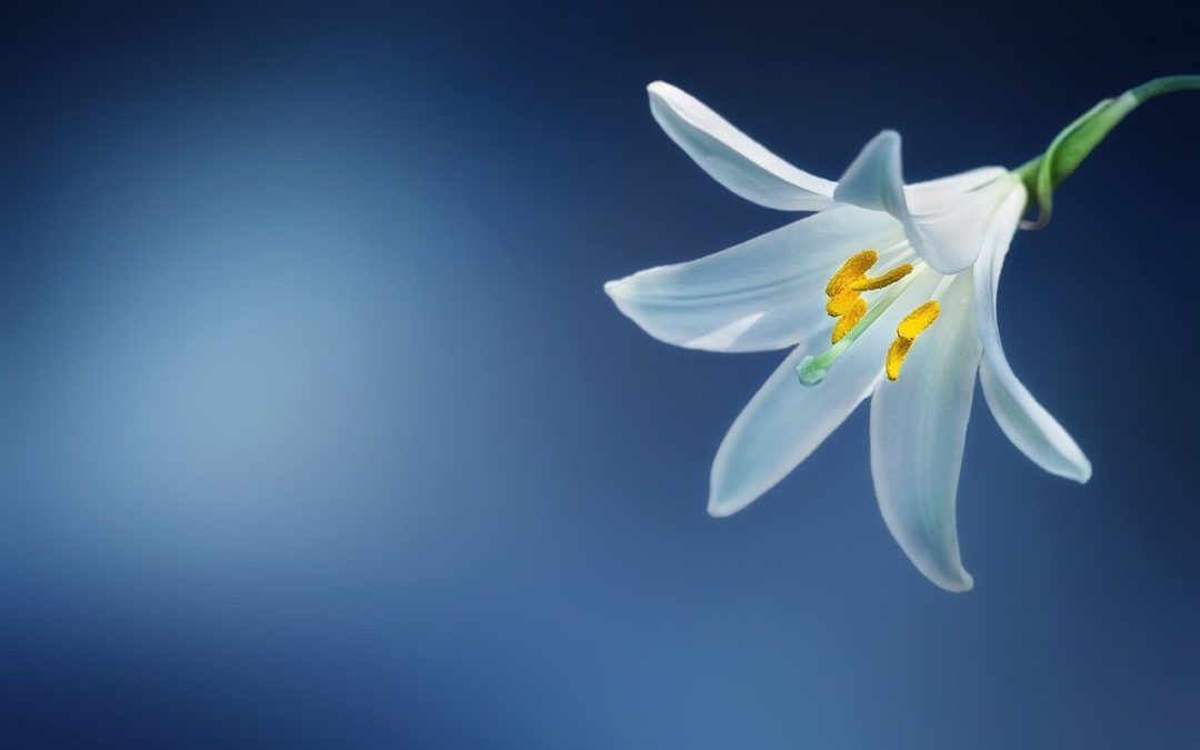 Feel Good Friday: Growth