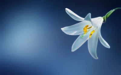 Feel Good Friday: Growth