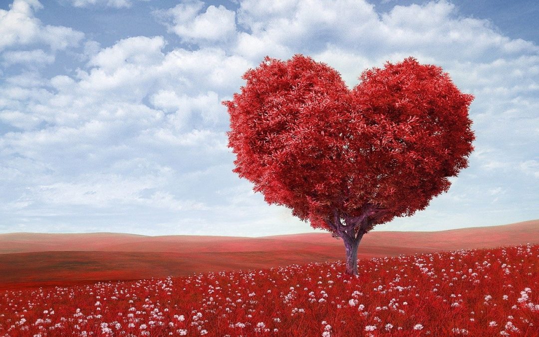 Love The One You’re With