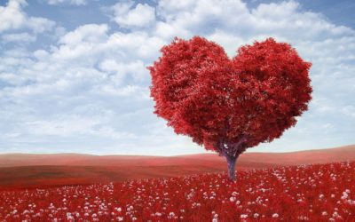 Love The One You’re With