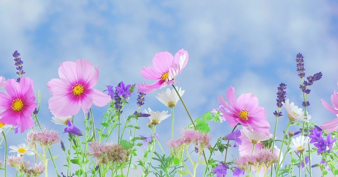 Wednesday Wellness: Growth