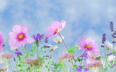 Wednesday Wellness: Growth