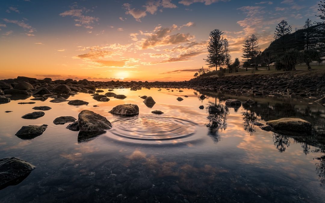 Wednesday Wellness: Positivity