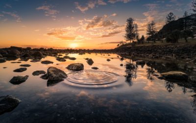 Wednesday Wellness: Positivity