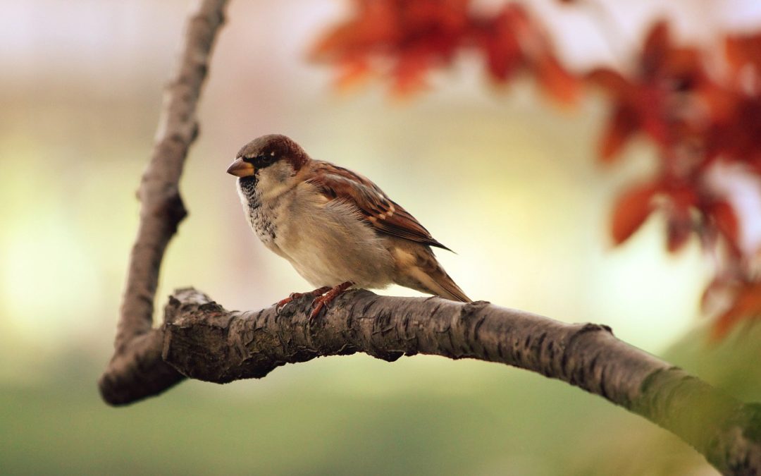 Wednesday Wellness: Communication
