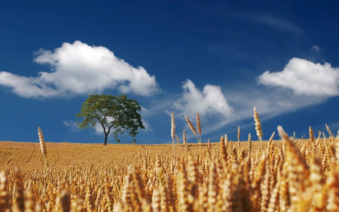 Feel Good Friday: Guidance