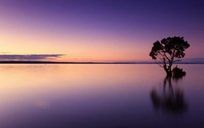Wednesday Wellness: Return