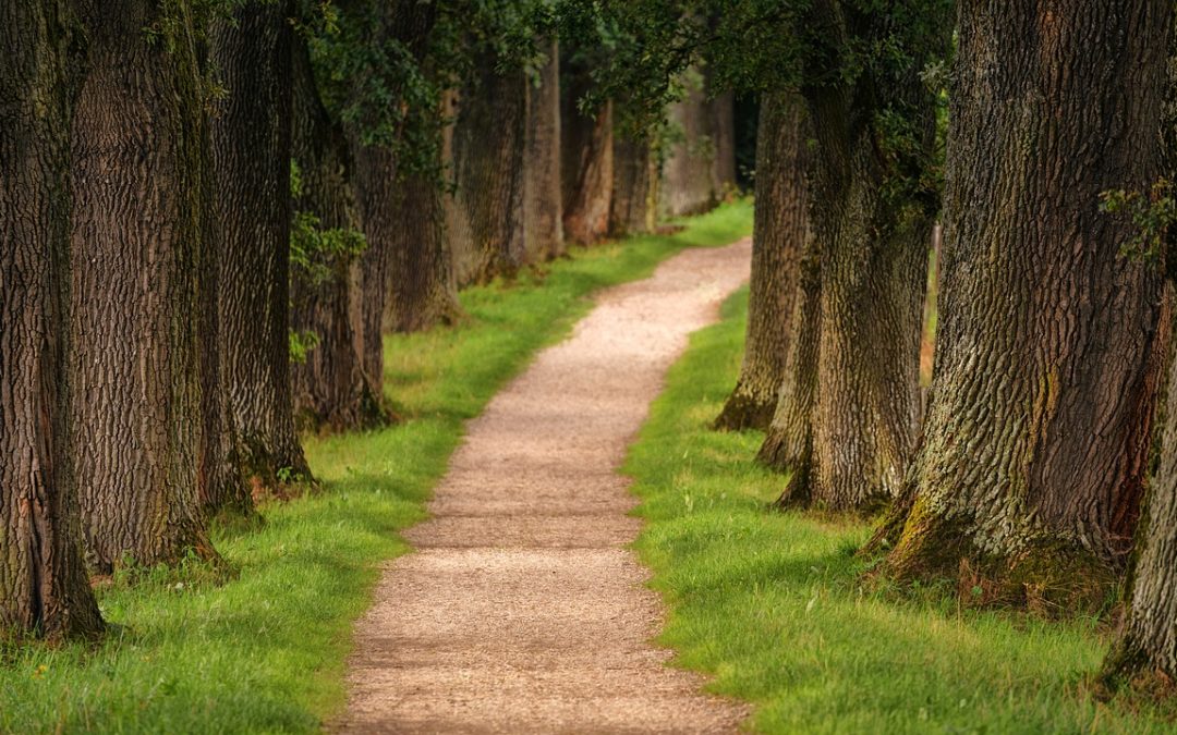 Wednesday Wellness: Momentum
