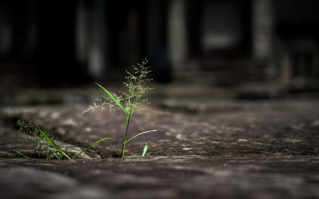Achieving Perseverance By Yourself And With Others
