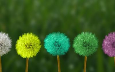 Navigating Change In Your Workplace