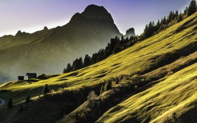 Feel Good Friday: Persistence