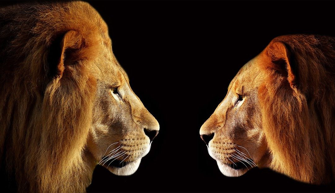 How To Lead Through Positivity