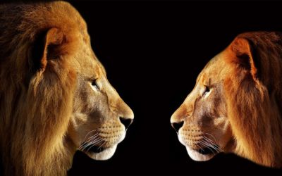 How To Lead Through Positivity