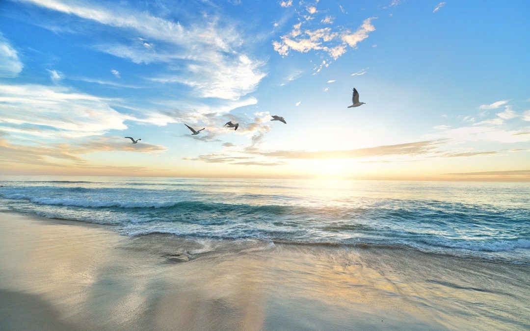 Feel Good Friday: Readjust