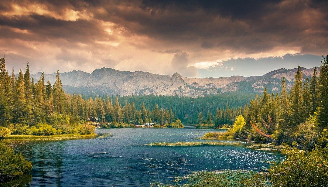 Wednesday Wellness: Chill