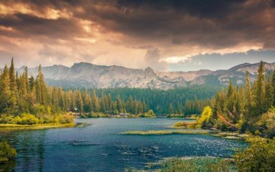 Wednesday Wellness: Chill