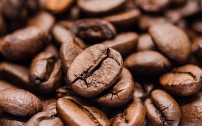 How to Stay Professionally Replenished