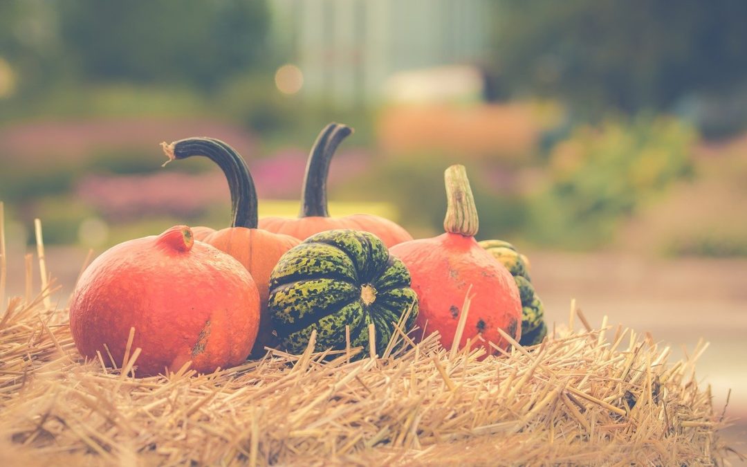 Feel Good Friday: Warm