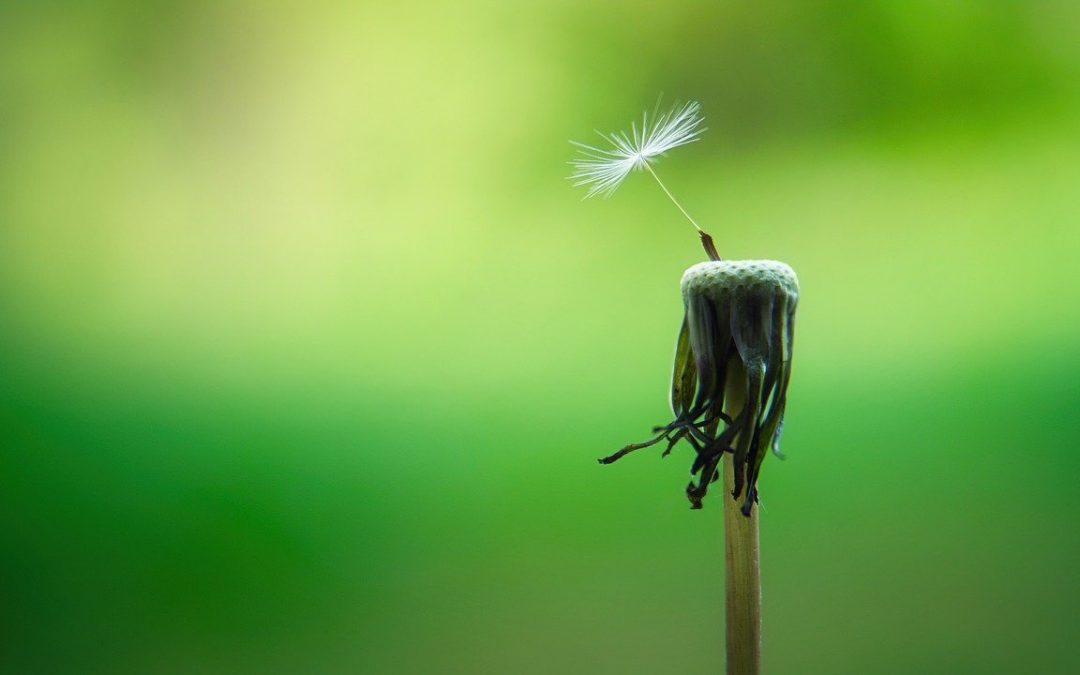 Feel Good Friday: Present