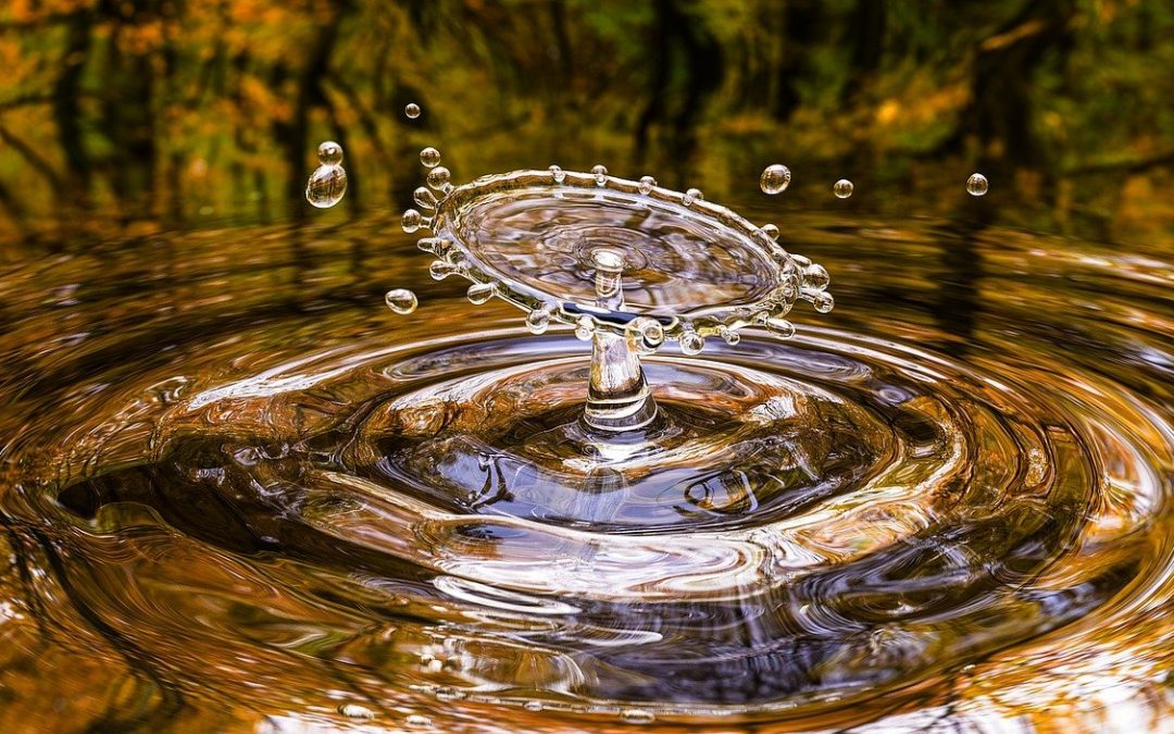 Finding Clarity In Any Professional Setting