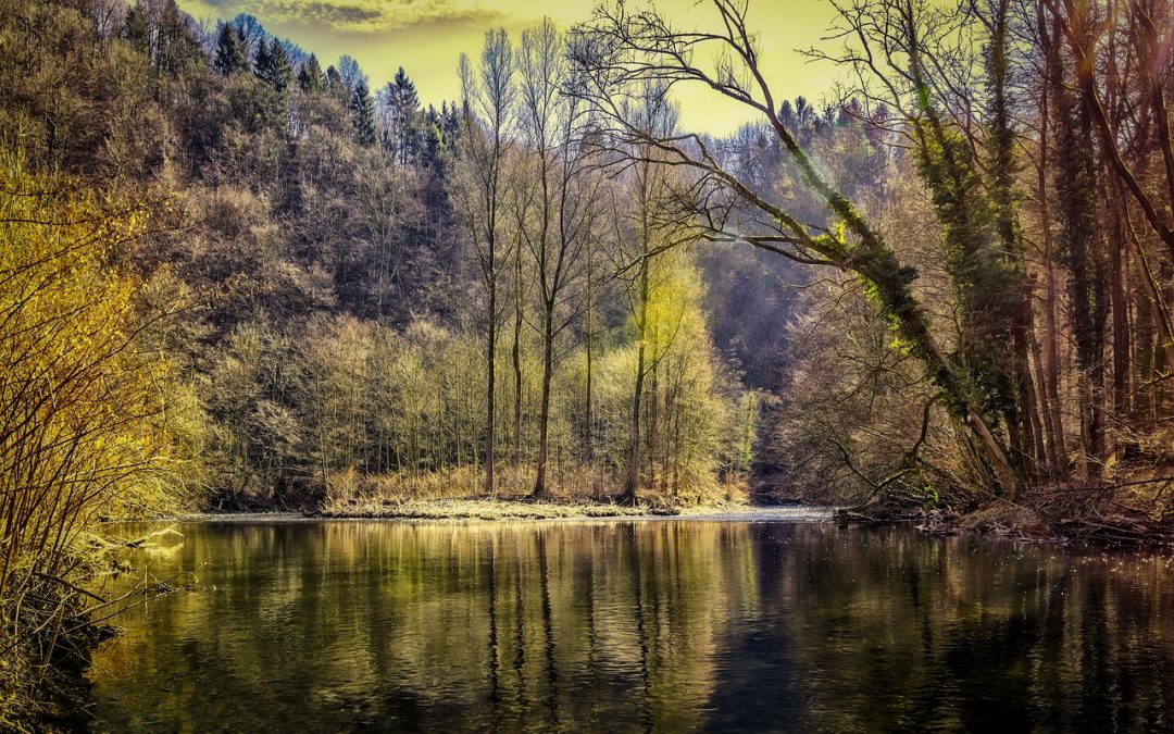 Monday Mood Booster: Calm