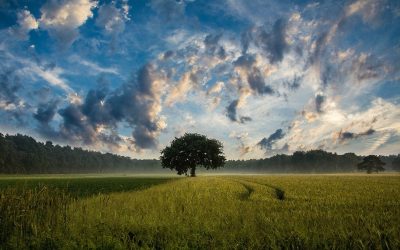 Feel Good Friday: Calm