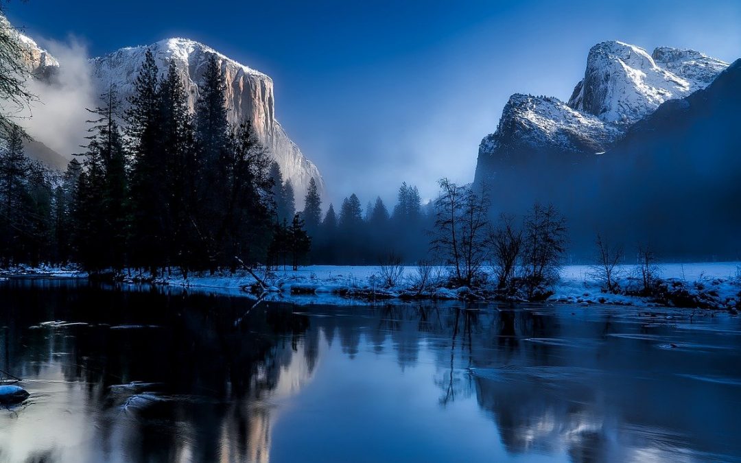 Wednesday Wellness: Calm