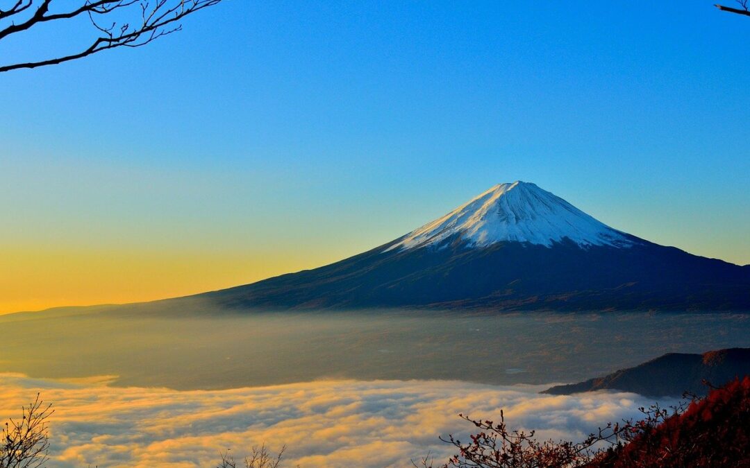 Wednesday Wellness: Persevere