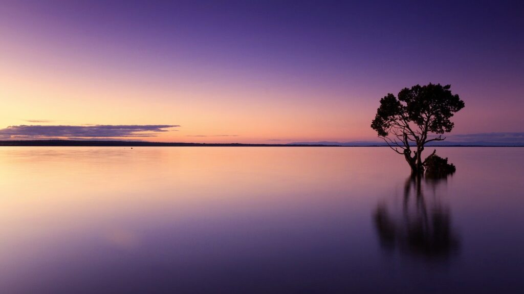 sunset-1373171_1280