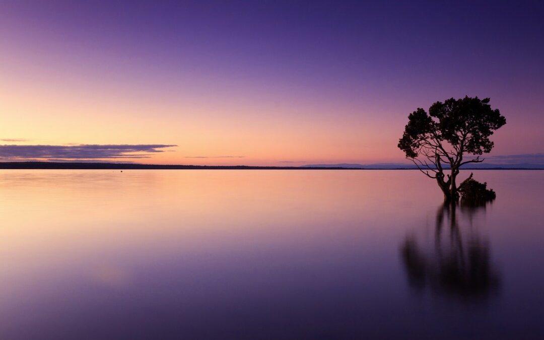 Compassionate Self-Care In Any Context