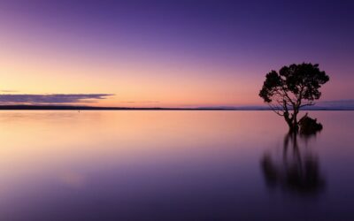 Compassionate Self-Care In Any Context