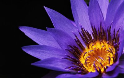 Wednesday Wellness: Change