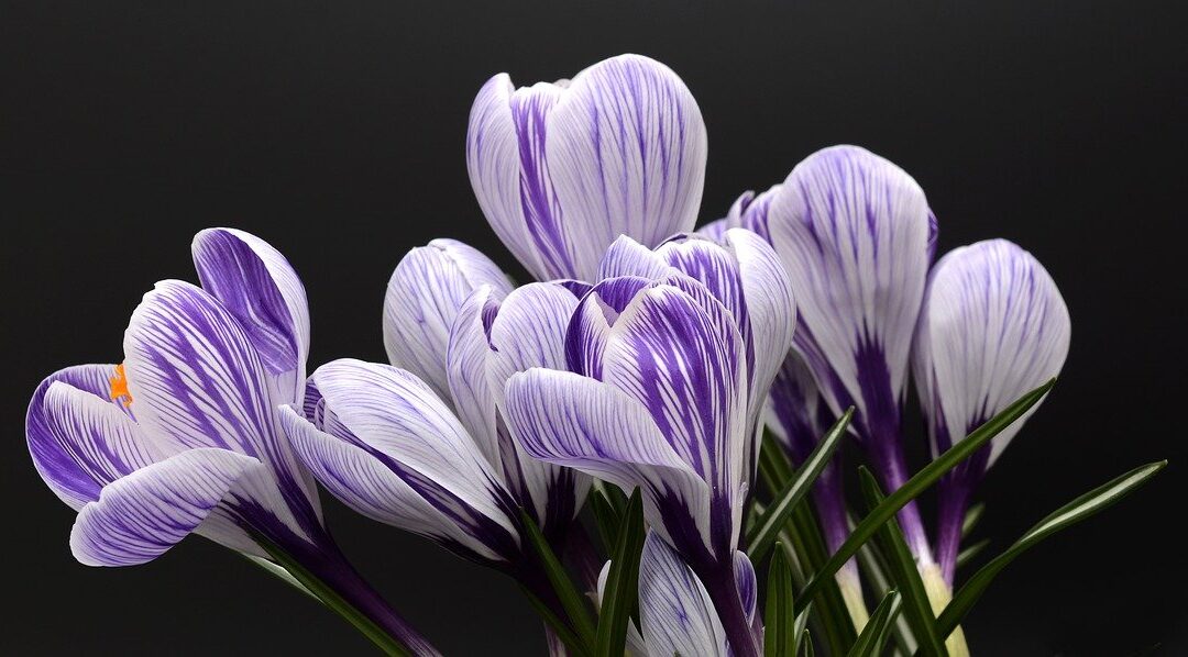 Feel Good Friday: Growth