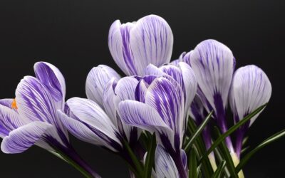 Feel Good Friday: Growth