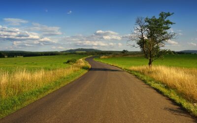Wednesday Wellness: Light
