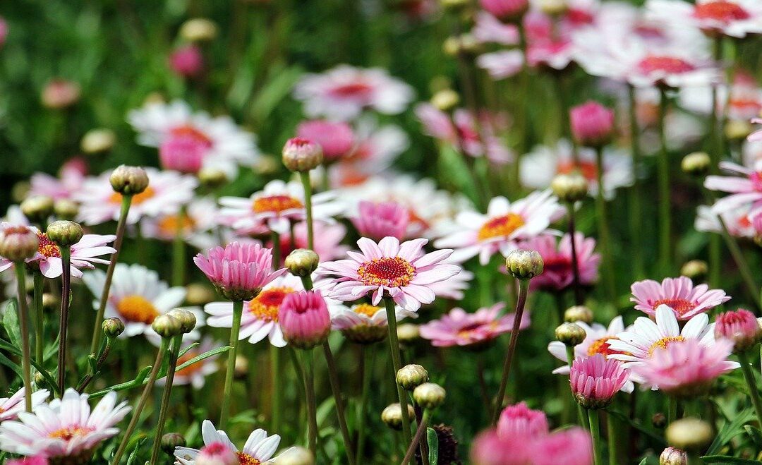 Wednesday Wellness: Growth