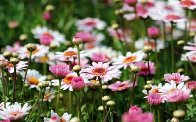 Wednesday Wellness: Growth