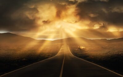 Feel Good Friday: Light