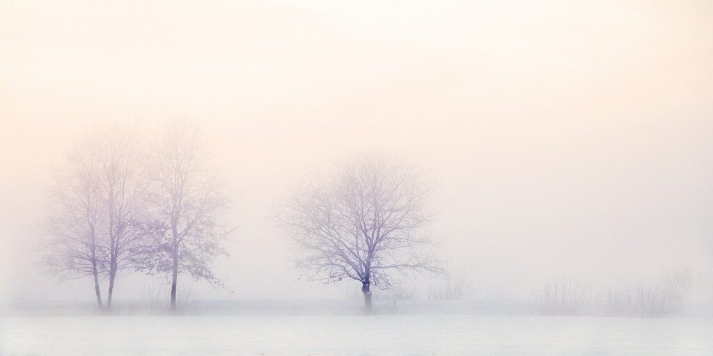 winter-landscape-2571788_1280