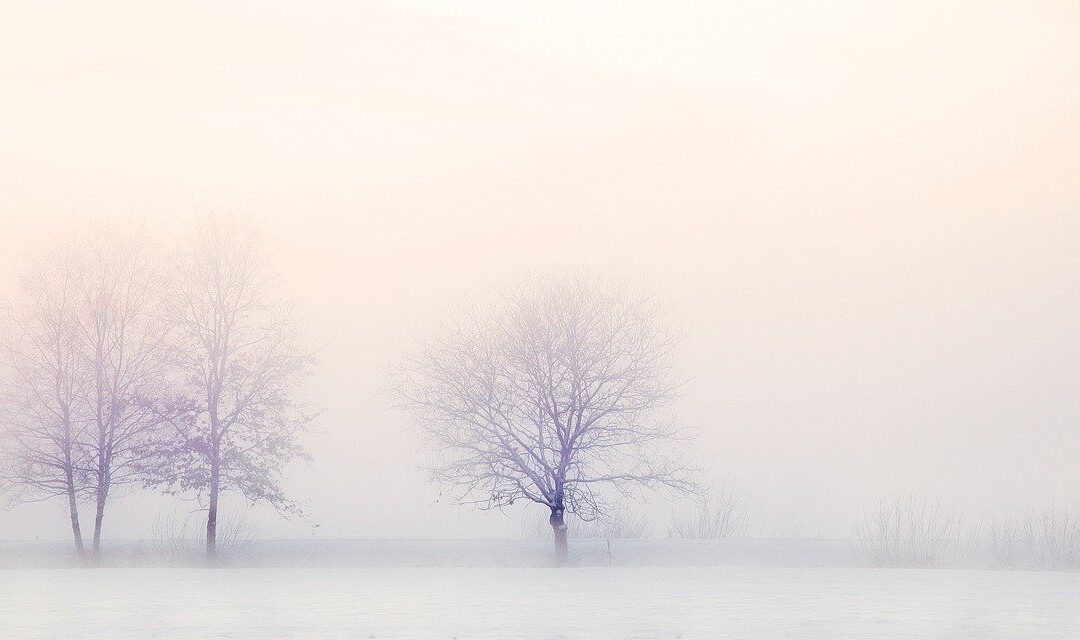 Feel Good Friday: Cozy